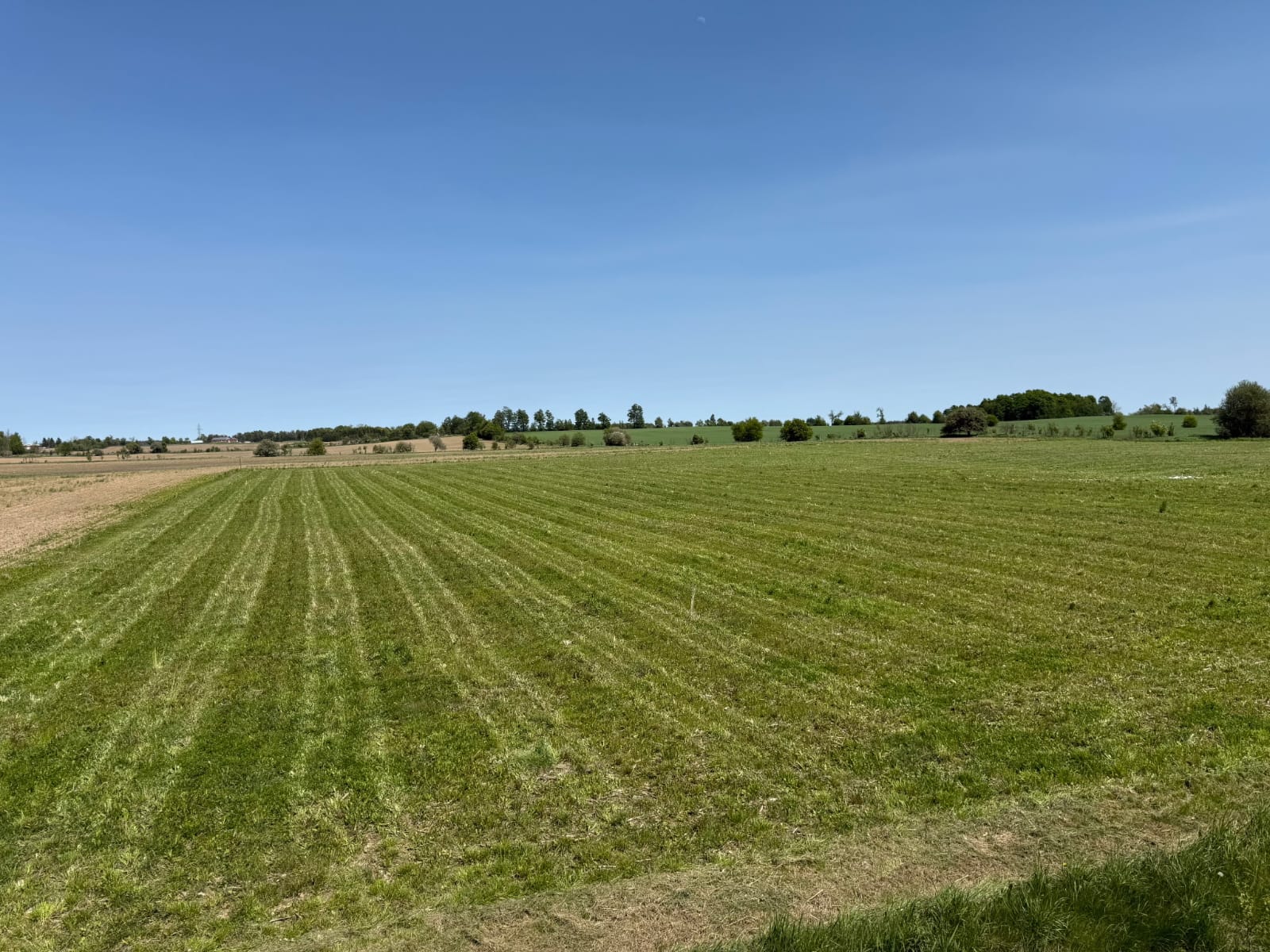 Vacant Land for Place of Worship preview 25